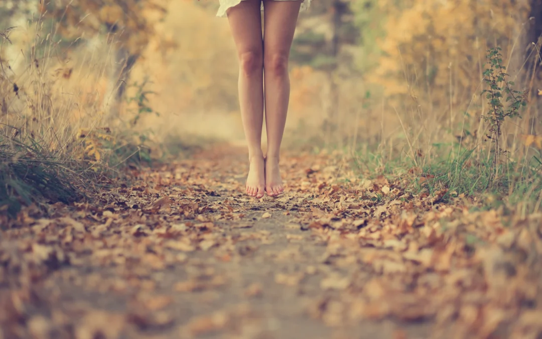 Herbst im Zyklus – warum Rückzug kein Stillstand ist